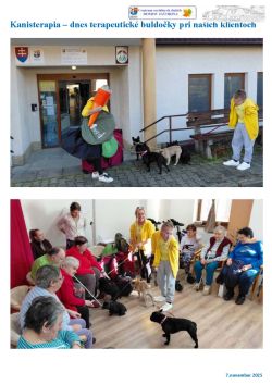 kanisterapia_buldocky