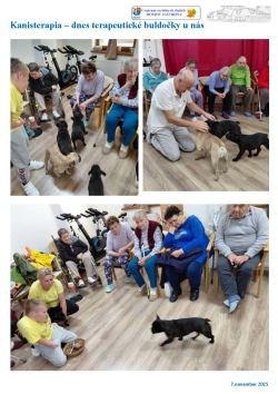 kanisterapia_buldocky_2