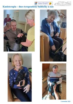kanisterapia_buldocky_4