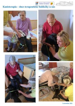 kanisterapia_buldocky_5