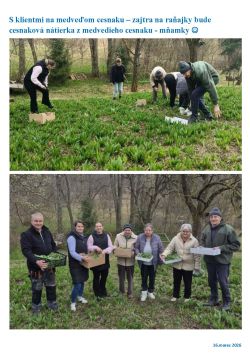 na_medvedom_cesnaku_marec_2026