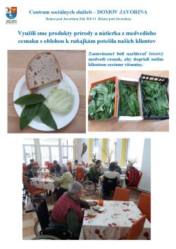 Pochutka_medvedi_cesnak