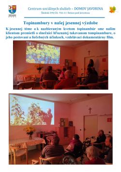 Jeseň_Topinambury_2023