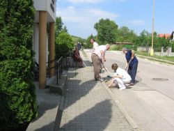 Brigada jun2011 005